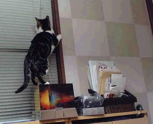 hth最新入口-德甲球队高强度对抗中体能消耗与失误关系研究,德甲水平